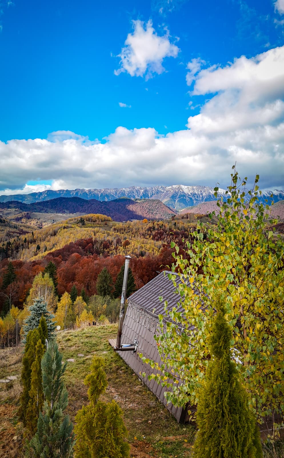 Chalet 1 – bucătărie